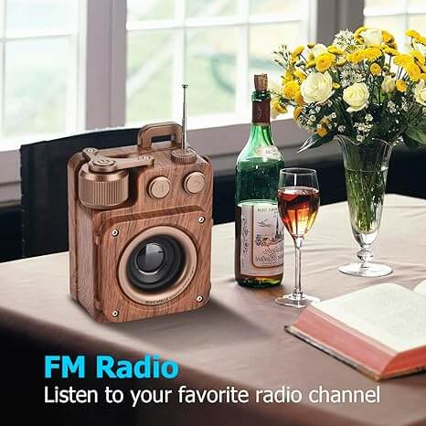 W/L Speaker Vintage Camera Shape